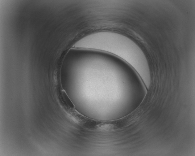 X0000073520452200607310954