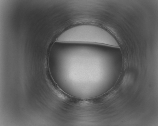X0000073520453200607310954