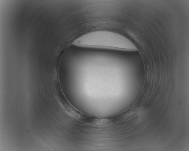 X0000073520459200607310954