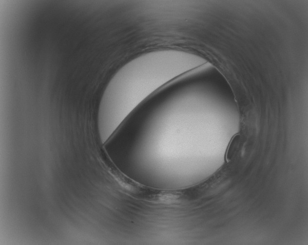 X0000073520462200607310954