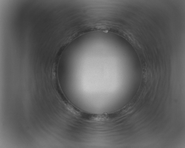 X0000073520466200607310954