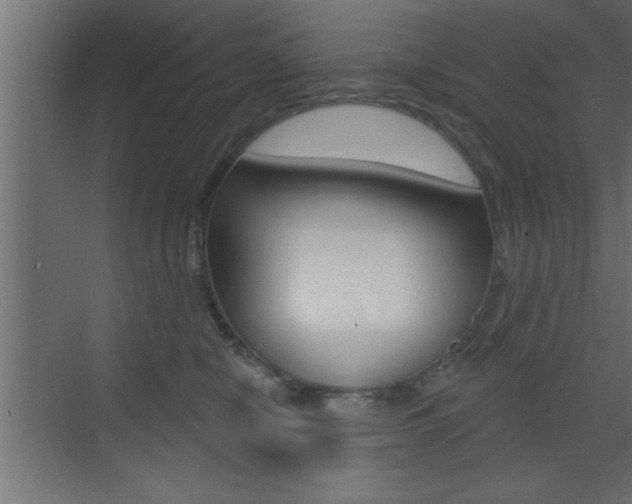X0000073520470200607310954