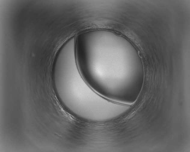 X0000073520481200607310953