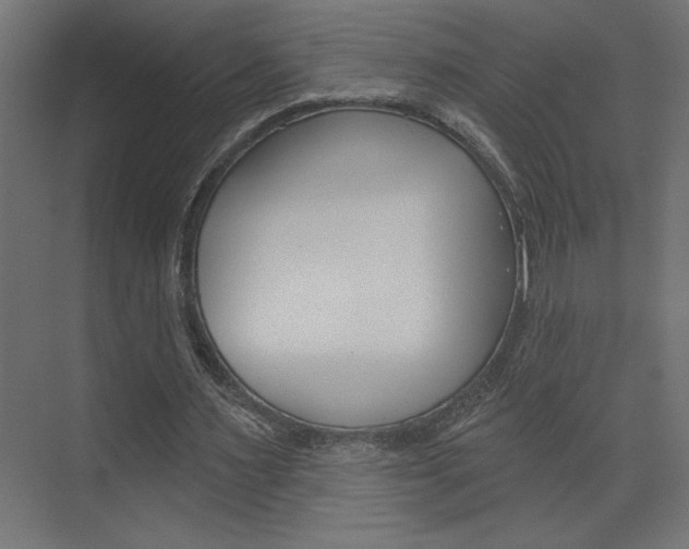 X0000073520483200607310953