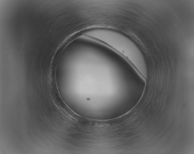 X0000073520484200607310953