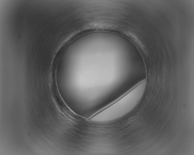 X0000073520488200607310953