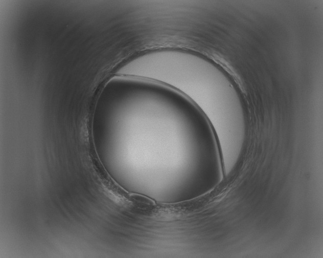 X0000073520489200607310953
