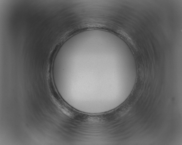 X0000073520490200607310953