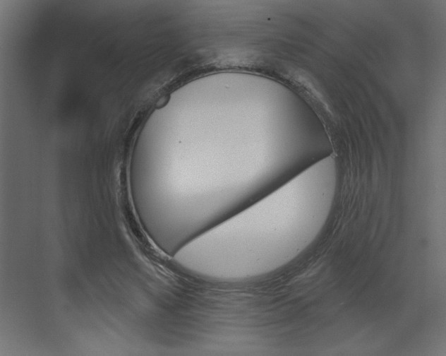 X0000073520491200607310953