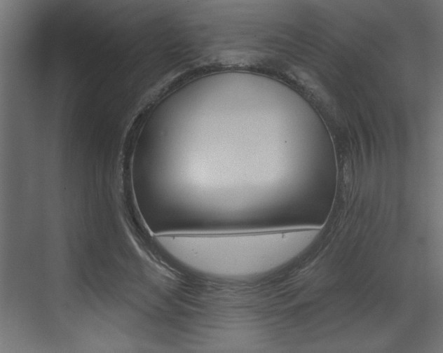 X0000073520492200607310953