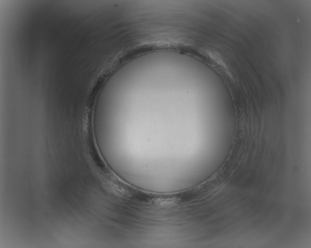 X0000073520495200607310953