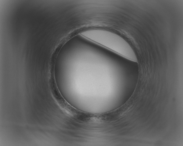 X0000073520496200607310953