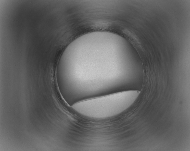 X0000073520498200607310953