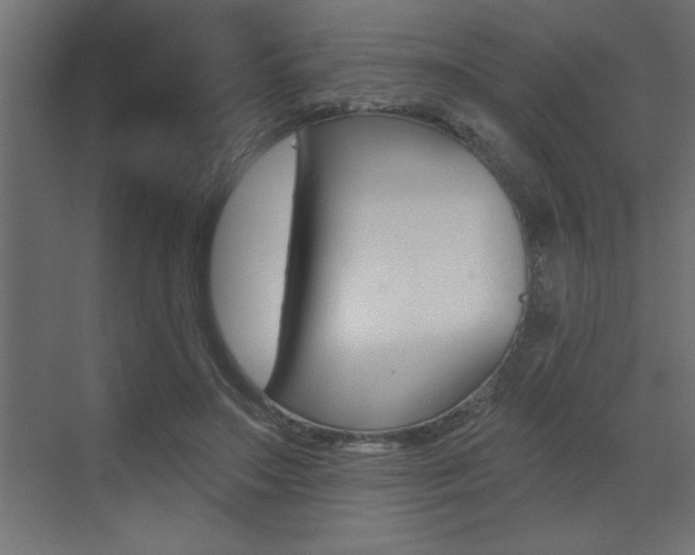 X0000073520499200607310953