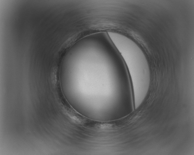 X0000073520501200607310953
