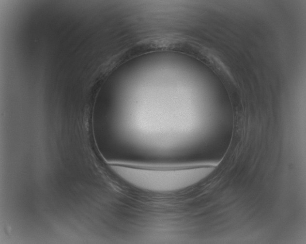 X0000073520505200607310953