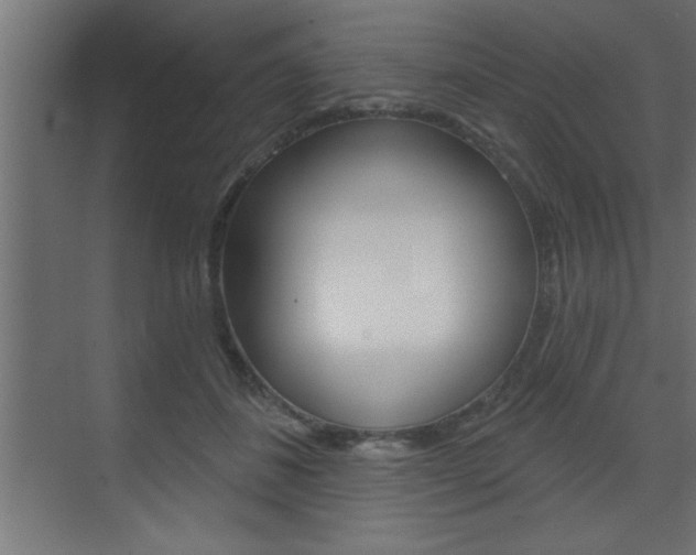 X0000073520508200607310953