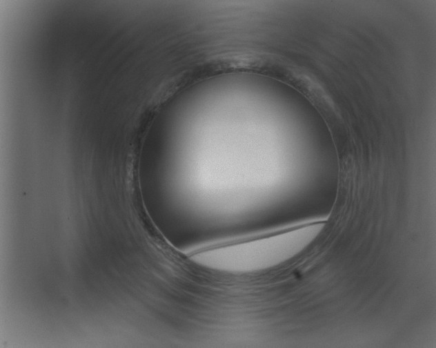 X0000073520509200607310953