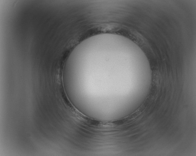 X0000073520510200607310953