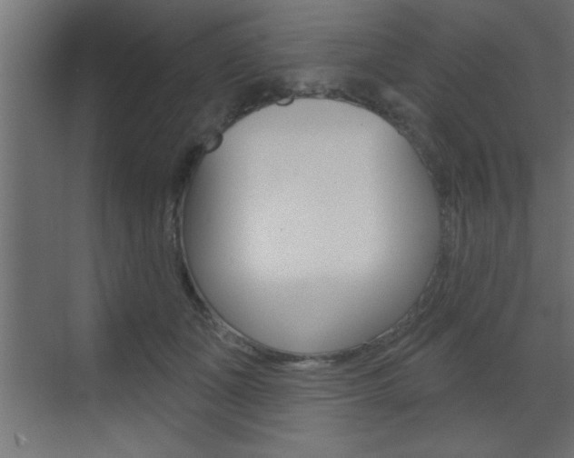 X0000073520511200607310953