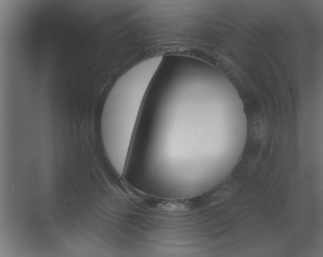 X0000073520512200607310953