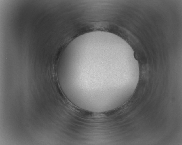 X0000073520514200607310953