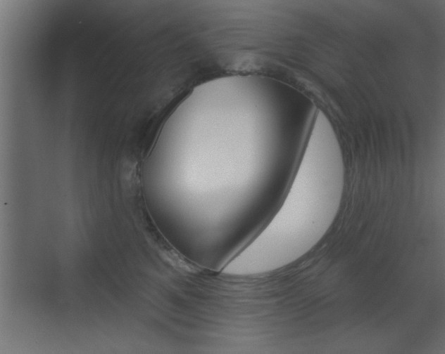 X0000073520521200607310953
