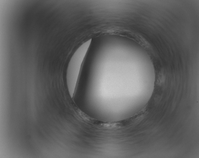 X0000073520524200607310953