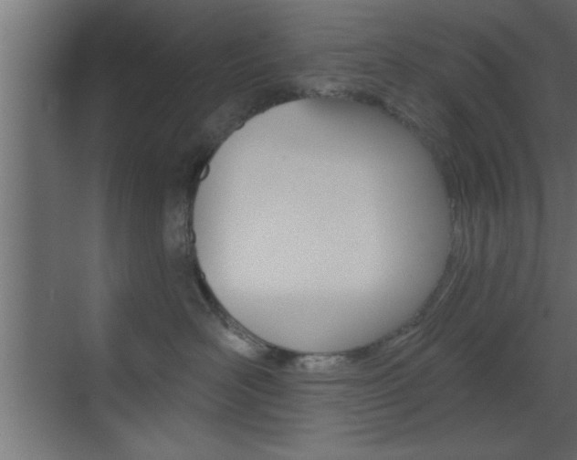X0000073520526200607310953