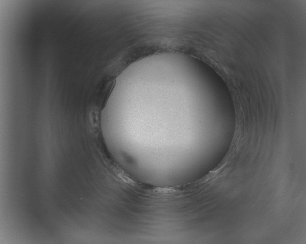X0000073520528200607310953