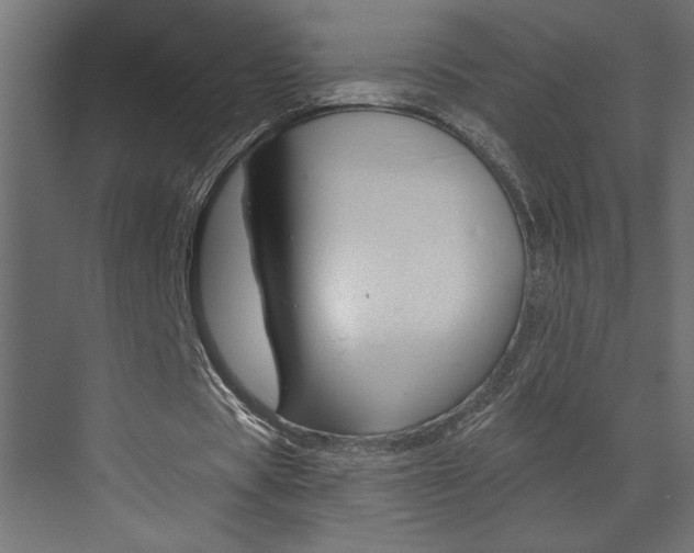 X0000073520529200607310952