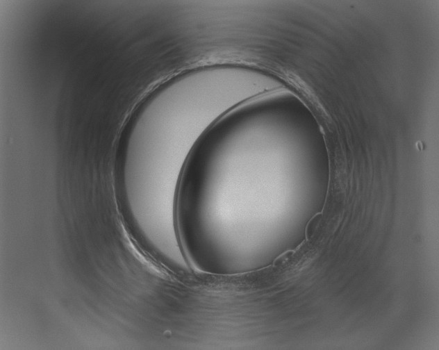 X0000073520530200607310952