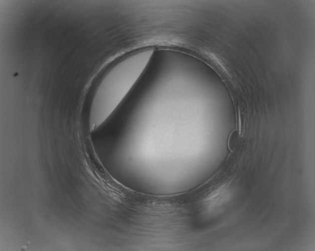 X0000073520531200607310952