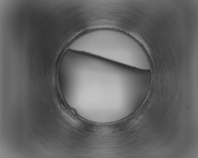 X0000073520533200607310952