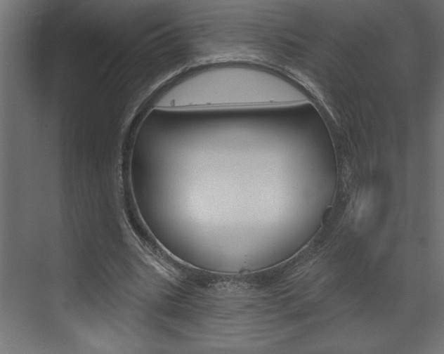 X0000073520535200607310952
