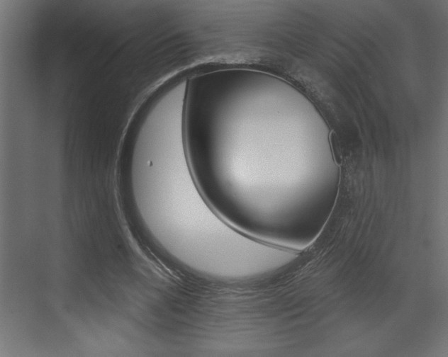 X0000073520536200607310952