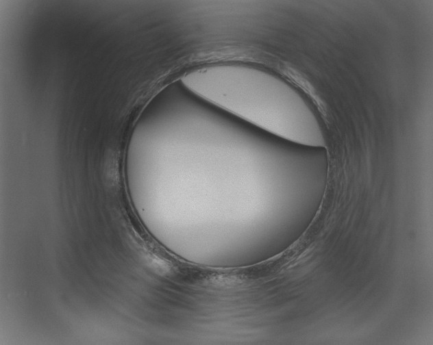 X0000073520537200607310952