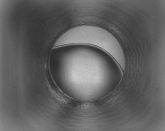 X0000073520546200607310952