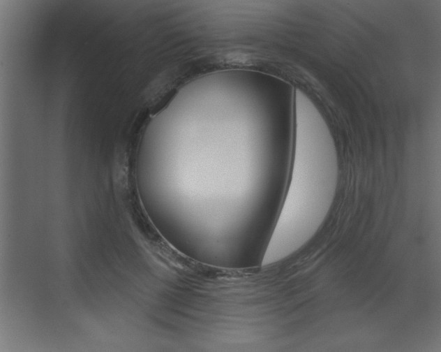 X0000073520552200607310952
