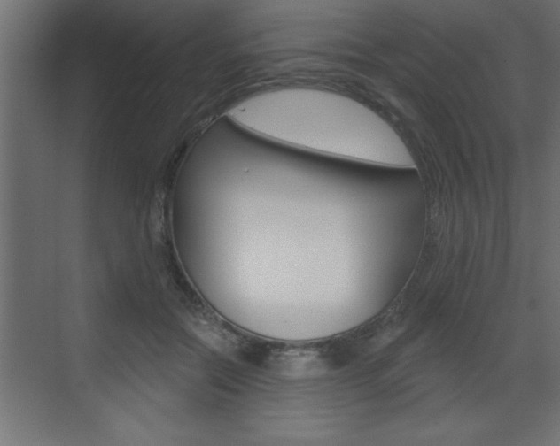 X0000073520554200607310952