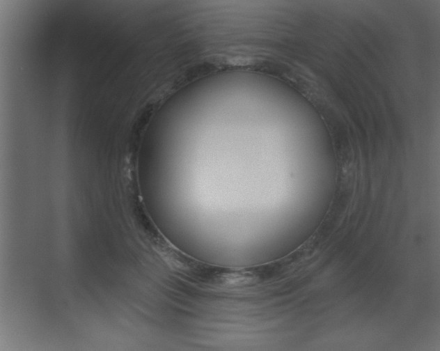 X0000073520555200607310952