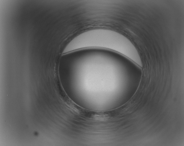 X0000073520556200607310952
