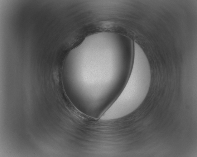 X0000073520562200607310952