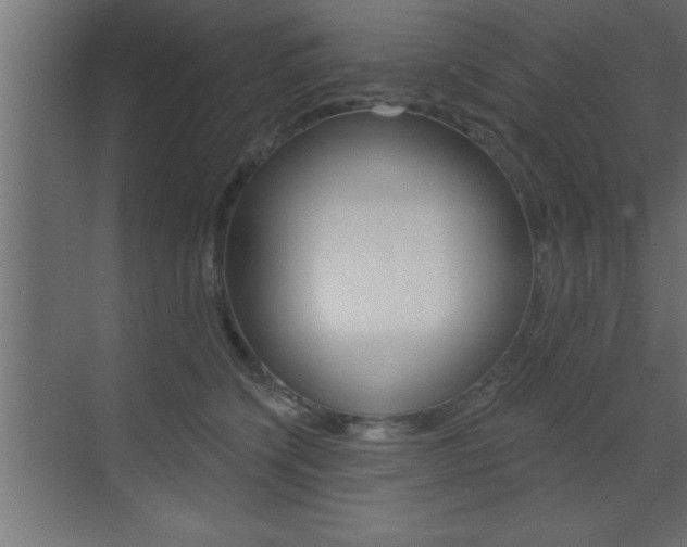 X0000073520564200607310952