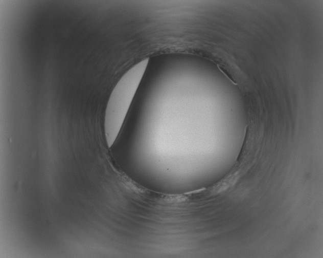 X0000073520576200607310953