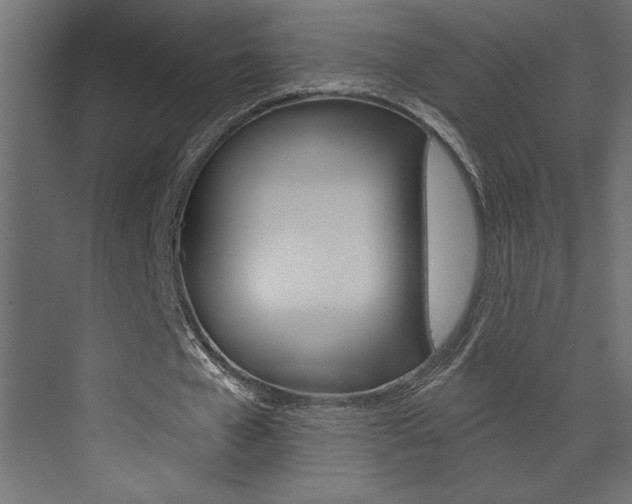 X0000073520577200607310952