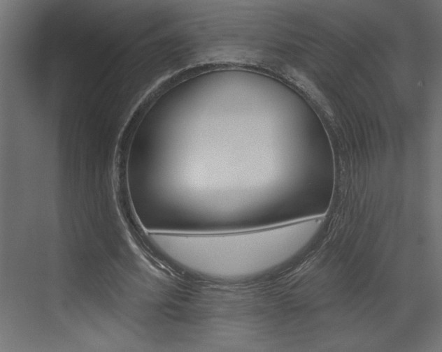 X0000073520580200607310952