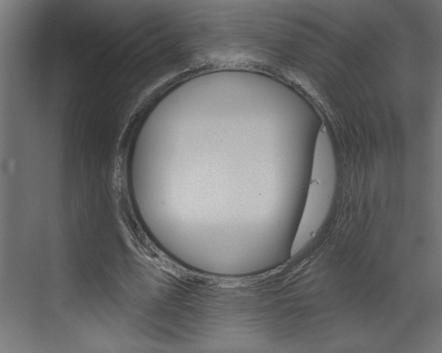 X0000073520583200607310952
