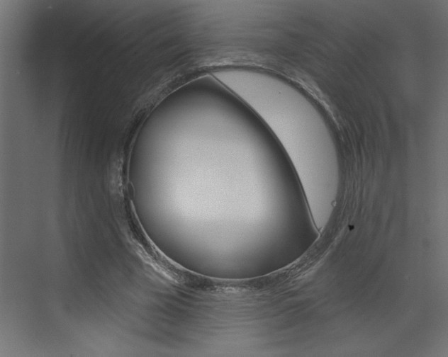 X0000073520585200607310952