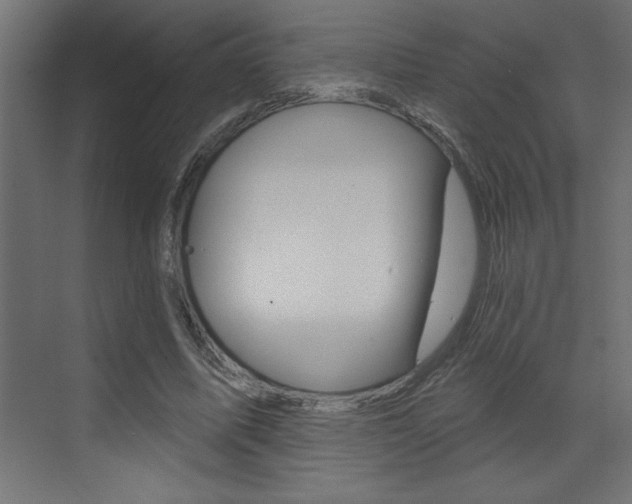 X0000073520587200607310952